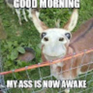 Meet your Posher, Venus